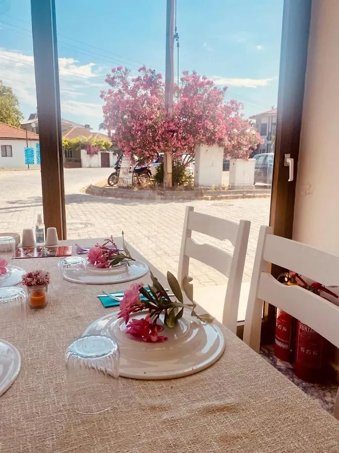 Acar Park Hotel Dalyan Turkey